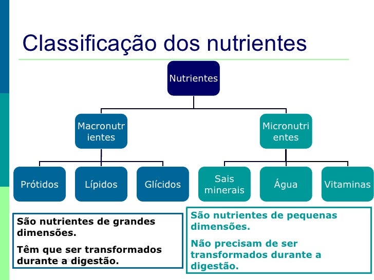 00 Sist Digestivo Nutrientes Tc 0809