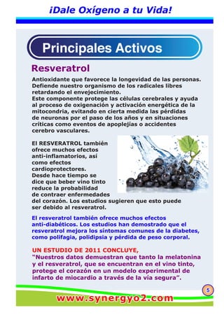 55
¡Dale Oxígeno a tu Vida!
Antioxidante que favorece la longevidad de las personas.
Defiende nuestro organismo de los radicales libres
retardando el envejecimiento.
Este componente protege las células cerebrales y ayuda
al proceso de oxigenación y activación energética de la
mitocondria, evitando en cierta medida las pérdidas
de neuronas por el paso de los años y en situaciones
críticas como eventos de apoplejías o accidentes
cerebro vasculares.
El RESVERATROL también
ofrece muchos efectos
anti-inflamatorios, así
como efectos
cardioprotectores.
Desde hace tiempo se
dice que beber vino tinto
reduce la probabilidad
de contraer enfermedades
del corazón. Los estudios sugieren que esto puede
ser debido al resveratrol.
UN ESTUDIO DE 2011 CONCLUYE,
“Nuestros datos demuestran que tanto la melatonina
y el resveratrol, que se encuentran en el vino tinto,
protege el corazón en un modelo experimental de
infarto de miocardio a través de la vía segura”.
Resveratrol
El resveratrol también ofrece muchos efectos
anti-diabéticos. Los estudios han demostrado que el
resveratrol mejora los síntomas comunes de la diabetes,
como polifagia, polidipsia y pérdida de peso corporal.
www.synergyo2.comwww.synergyo2.com
 