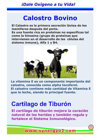 77
¡Dale Oxígeno a tu Vida!
Calostro Bovino
Cartílago de Tiburón
El Calostro es la primera secreción láctea de los
mamíferos después del parto.
Es una fuente rica en proteínas no específicas tal
como la timosina (grupo de proteínas que
intervienen en el desarrollo de las células del
sistema inmune), Alfa 1 y B4.
La vitamina E es un componente importante del
calostro, conocida como alpha tocoferol.
El calostro contiene más cantidad de Vitamina E
que la leche, siendo la principal fuente.
El cartílago de tiburón mejora la curación
natural de las heridas y también regula y
fortalece el Sistema Inmunológico.
www.synergyo2.comwww.synergyo2.com
 