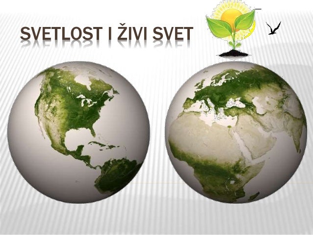 Svetlost i živi svet
