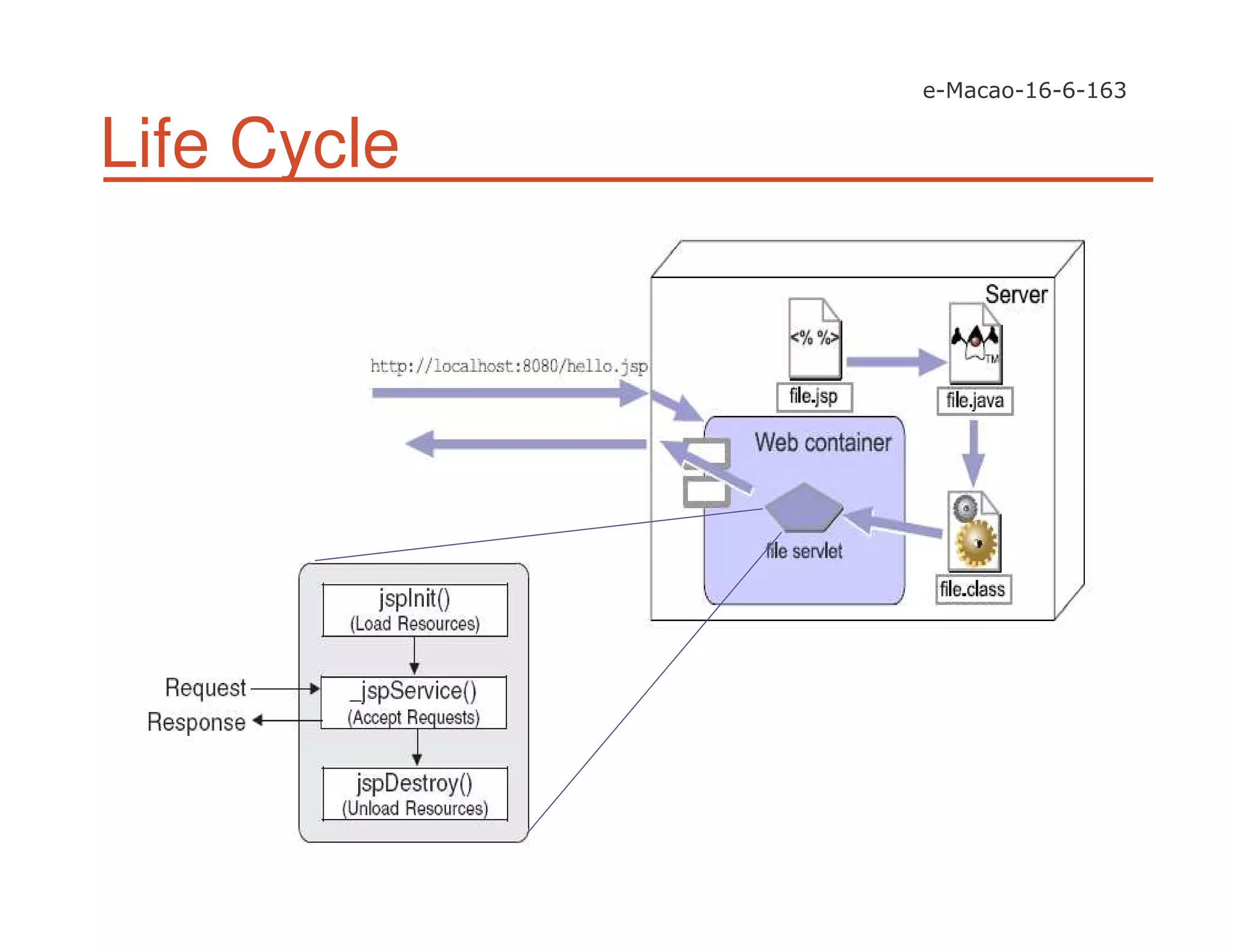 Life Cycle
 