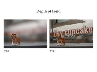 Depth of Field
f/2.8 f/16
 