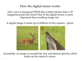 2006-06-01
How the digital sensor works
How can a 6 megapixel DSLR take a better picture than a 10
megapixel point and shoot? Size of the digital sensor is more
important than resulting image size.
A digital image is made up of millions of tiny squares - pixels.
Essentially, an image is recorded by tiny microlenses (pixels) which
make up the camera’s sensor
 