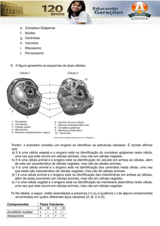 e. Complexo Golgiense
f. Núcleo
g. Centríolos
h. Vacúolos
i. Ribossomo
j. Peroxissomo
9. A figura apresenta os esquemas de duas células.
Porém, o ilustrador cometeu um engano ao identificar as estruturas celulares. É correto afirmar
que
a) II é uma célula vegetal e o engano está na identificação do complexo golgiense nesta célula,
uma vez que este ocorre em células animais, mas não em células vegetais.
b) II é uma célula animal e o engano está na identificação do vacúolo em ambas as células, além
de este ser característico de células vegetais, mas não de células animais.
c) II é uma célula animal e o engano está na identificação dos centríolos nesta célula, uma vez
que estes são característico de células vegetais, mas não de células animais.
d) I é uma célula animal e o engano está na identificação das mitocôndrias em ambas as células,
além de estas ocorrerem em células animais, mas não em células vegetais.
e) I é uma célula vegetal e o engano está na identificação da membrana plasmática nesta célula,
uma vez que esta ocorre em células animais, mas não em células vegetais.
10.Na tabela, a seguir, estão assinaladas a presença (+) ou a ausência (-) de alguns componentes
encontrados em quatro diferentes tipos celulares (A, B, C e D).
Componentes Tipos Celulares
A B C D
envoltório nuclear + - + -
ribossomos + + + +
 