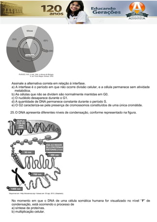 Assinale a alternativa correta em relação à interfase.
a) A interfase é o período em que não ocorre divisão celular, e a célula permanece sem atividade
metabólica.
b) As células que não se dividem são normalmente mantidas em G0.
c) O nucléolo desaparece durante o G1.
d) A quantidade de DNA permanece constante durante o período S.
e) O G2 caracteriza-se pela presença de cromossomos constituídos de uma única cromátide.
25.O DNA apresenta diferentes níveis de condensação, conforme representado na figura.
No momento em que o DNA de uma célula somática humana for visualizado no nível “F” de
condensação, está ocorrendo o processo de
a) síntese de proteínas.
b) multiplicação celular.
 