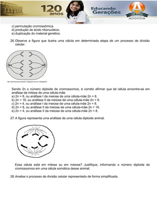 c) permutação cromossômica.
d) produção de ácido ribonucleico.
e) duplicação do material genético.
26.Observe a figura que ilustra uma célula em determinada etapa de um processo de divisão
celular.
Sendo 2n o número diploide de cromossomos, é correto afirmar que tal célula encontra-se em
anáfase da mitose de uma célula-mãe
a) 2n = 8, ou anáfase I da meiose de uma célula-mãe 2n = 8.
b) 2n = 16, ou anáfase II da meiose de uma célula-mãe 2n = 8.
c) 2n = 4, ou anáfase I da meiose de uma célula-mãe 2n = 8.
d) 2n = 8, ou anáfase II da meiose de uma célula-mãe 2n = 16.
e) 2n = 4, ou anáfase II da meiose de uma célula-mãe 2n = 8.
27.A figura representa uma anáfase de uma célula diploide animal.
Essa célula está em mitose ou em meiose? Justifique, informando o número diploide de
cromossomos em uma célula somática desse animal.
28.Analise o processo de divisão celular representado de forma simplificada.
 