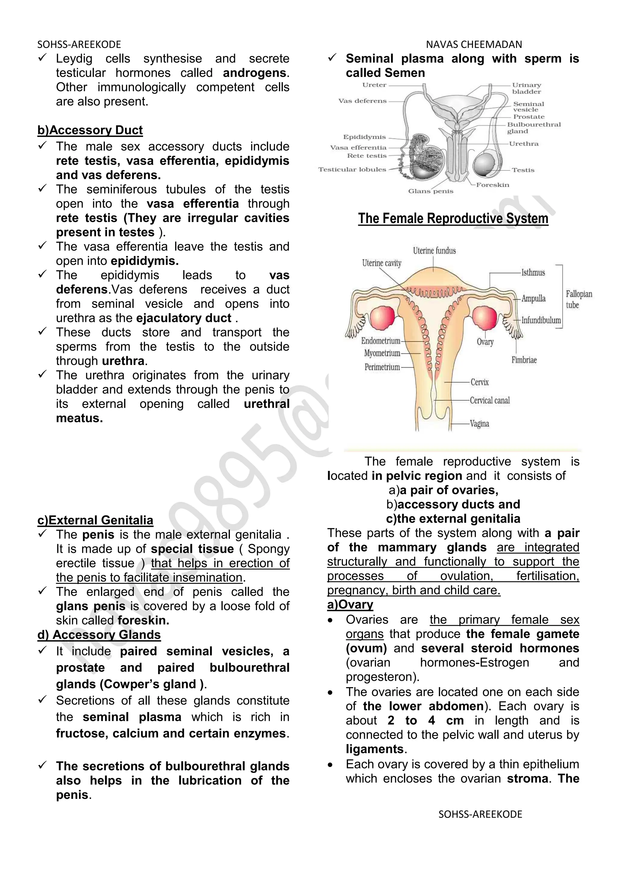 01-02 human reproduction and reproductive health.pdf | Pregnancy ...