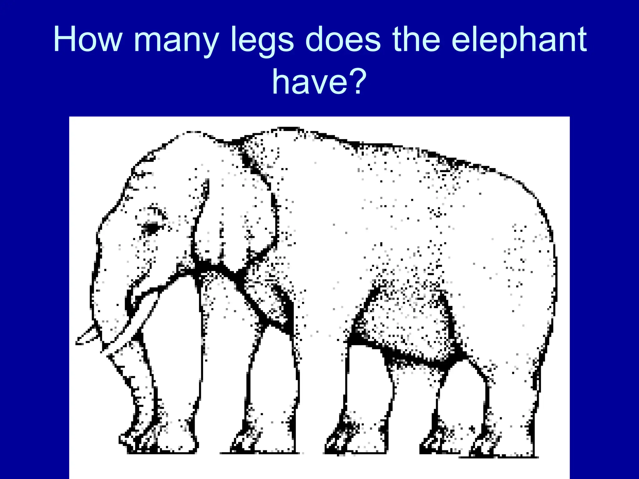 How many legs does the elephant
have?
 