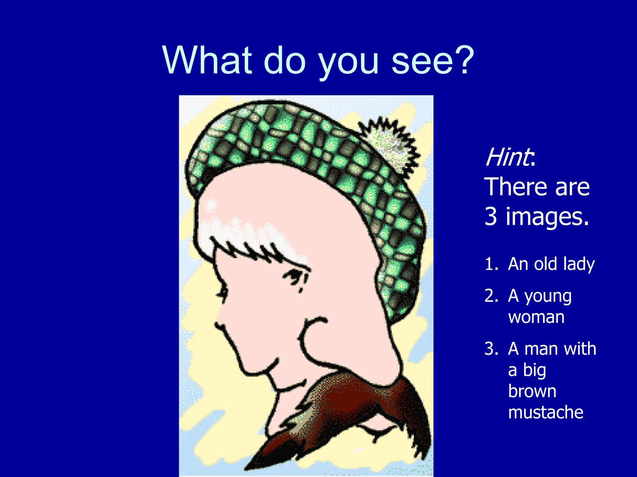What do you see?
Hint:
There are
3 images.
1. An old lady
2. A young
woman
3. A man with
a big
brown
mustache
 