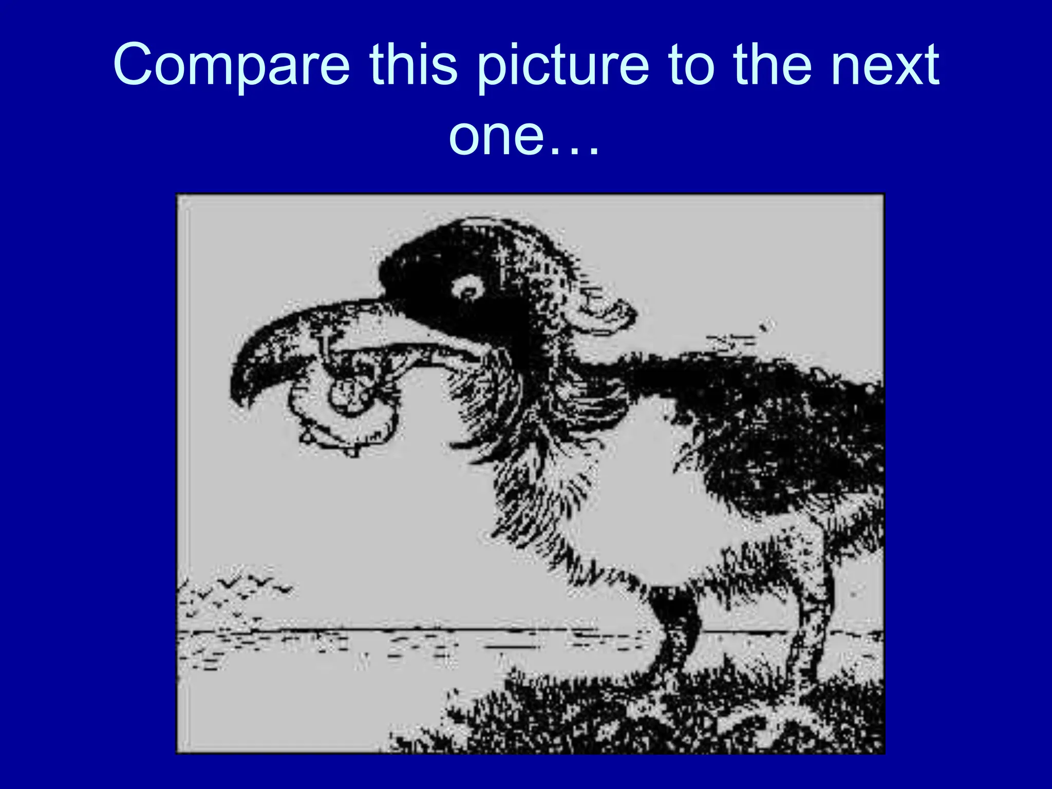 Compare this picture to the next
one…
 