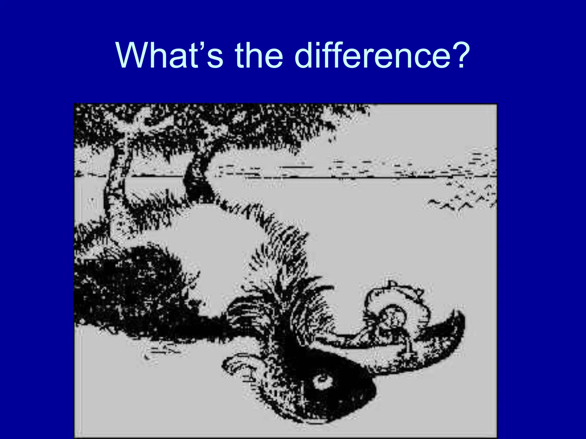 What’s the difference?
 