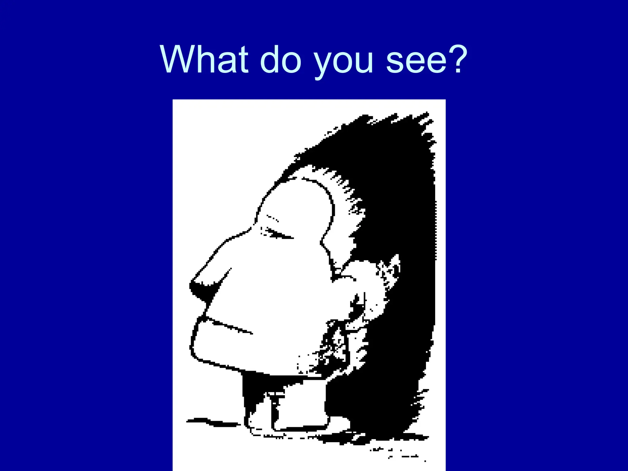 What do you see?
 
