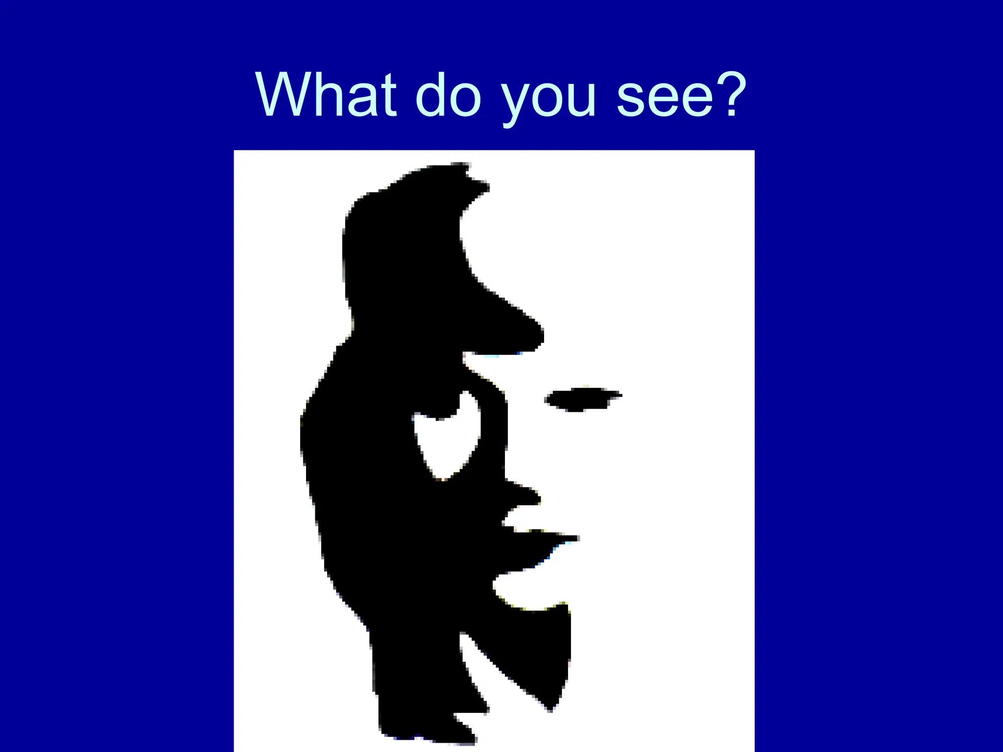 What do you see?
 