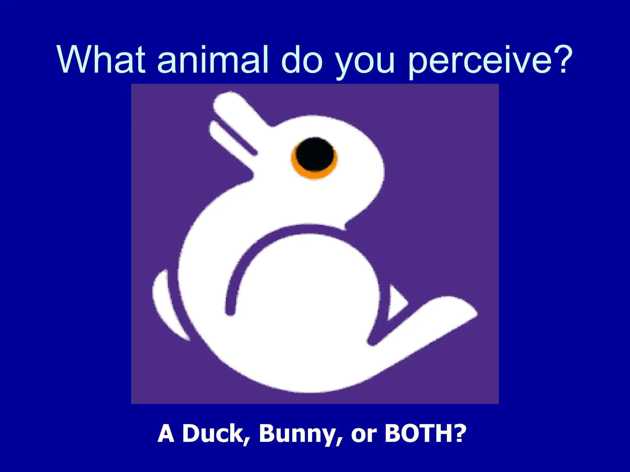What animal do you perceive?
A Duck, Bunny, or BOTH?
 