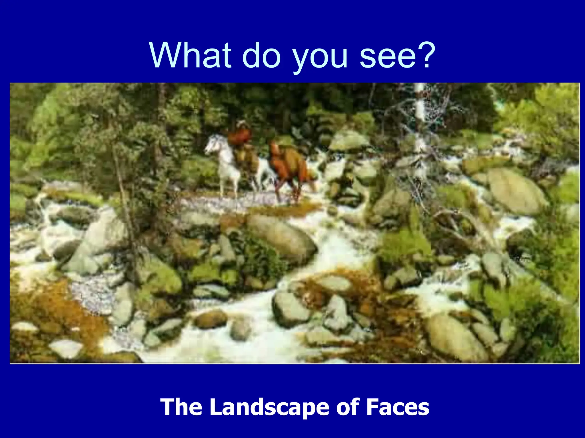 What do you see?
The Landscape of Faces
 