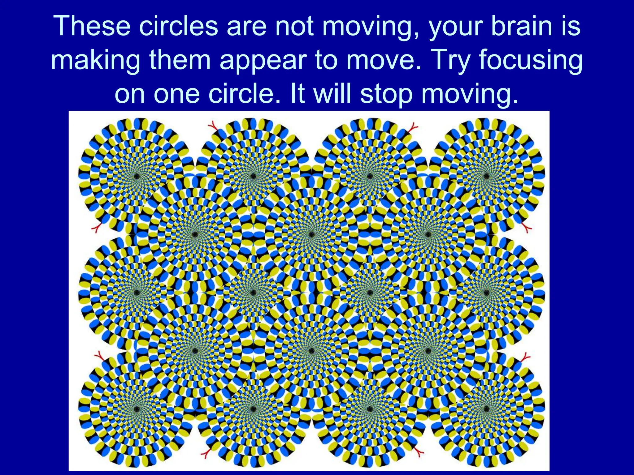 These circles are not moving, your brain is
making them appear to move. Try focusing
on one circle. It will stop moving.
 