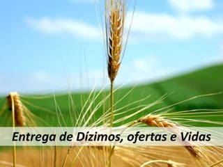 Entrega de Dízimos, ofertas e Vidas
 