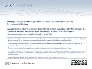 Author(s): University of Michigan Medical School, Department of Cell and 
Developmental Biology 
 
License: Unless otherwise noted, this material is made available under the terms of the 
Creative Commons Attribution–Non-commercial–Share Alike 3.0 License:  
http://creativecommons.org/licenses/by-nc-sa/3.0/ 

 We have reviewed this material in accordance with U.S. Copyright Law and have tried to maximize your ability to use, share, and adapt 
 it. The citation key on the following slide provides information about how you may share and adapt this material. 
  
 Copyright holders of content included in this material should contact open.michigan@umich.edu with any questions, corrections, or 
 clarification regarding the use of content. 
  
 For more information about how to cite these materials visit http://open.umich.edu/education/about/terms-of-use. 
  
 Any medical information in this material is intended to inform and educate and is not a tool for self-diagnosis or a replacement for medical 
 evaluation, advice, diagnosis or treatment by a healthcare professional. Please speak to your physician if you have questions about your 
 medical condition. 
  
 Viewer discretion is advised: Some medical content is graphic and may not be suitable for all viewers. 
 