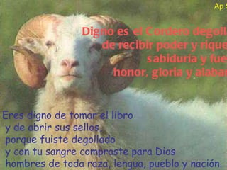 Eres digno de tomar el libro y de abrir sus sellos, porque fuiste degollado y con tu sangre compraste para Dios hombres de toda raza, lengua, pueblo y nación. Ap 5,11.9 Digno es el Cordero degollado de recibir poder y riqueza,  sabiduría y fuerza, honor, gloria y alabanza. 