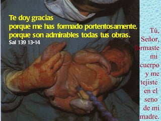 Tú, Señor, formaste mi  cuerpo y me tejiste  en el  seno  de mi madre. Te doy gracias  porque me has formado portentosamente, porque son admirables todas tus obras. Sal 139 13-14 