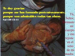 Te doy gracias
porque me has formado portentosamente,
porque son admirables todas tus obras.
Sal 139 13-14

Tú,
Señor,
formaste
mi
cuerpo
y me
tejiste
en el
seno
de mi
madre.

 