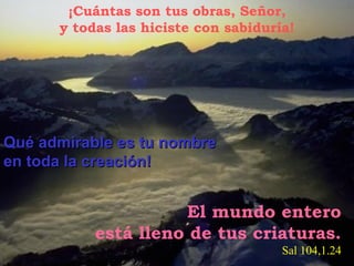 ¡Cuántas son tus obras, Señor,
y todas las hiciste con sabiduría!

Qué admirable es tu nombre
en toda la creación!

El mundo entero
está lleno de tus criaturas.
Sal 104,1.24

 