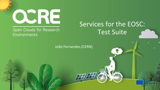 Services for the EOSC:
Test Suite
João Fernandes (CERN)
 