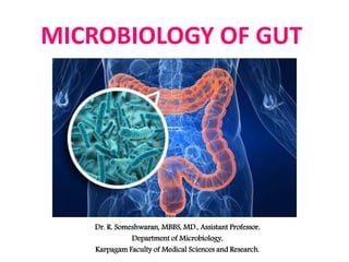 MICROBIOLOGY OF GUT
Dr. R. Someshwaran, MBBS, MD., Assistant Professor,
Department of Microbiology,
Karpagam Faculty of Medical Sciences and Research.
 