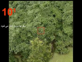 10 1 سفر به درون آغاز می شود 