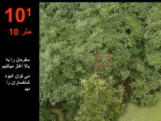 سفرمان را به بالا آغاز میکنیم می توان انبوه شاخساران را دید 10 1   10  متر 