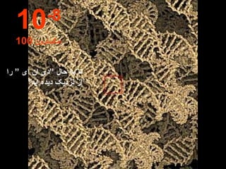 تا به حال ”دی ان ای ” را از نزدیک دیده اید؟ 10 -8 100  امگسترون 