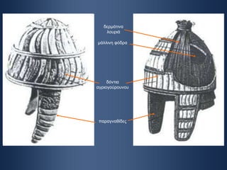 δόντια αγριογούρουνου παραγναθίδες μάλλινη φόδρα δερμάτινα λουριά 