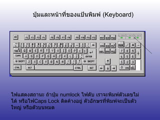 ปุ่มและหน้าที่ของแป้นพิมพ์  ( Keyboard) ไฟแสดงสถานะ ถ้าปุ่ม  numlock  ไฟดับ เราจะพิมพ์ตัวเลขไม่ได้ หรือไฟ Caps Lock  ติดค้างอยู่ ตัวอักษรที่พิมพ์จะเป็นตัวใหญ่ หรือตัวบนหมด 