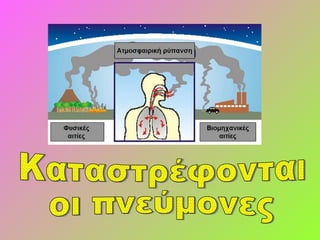 Καταστρέφονται οι πνεύμονες 