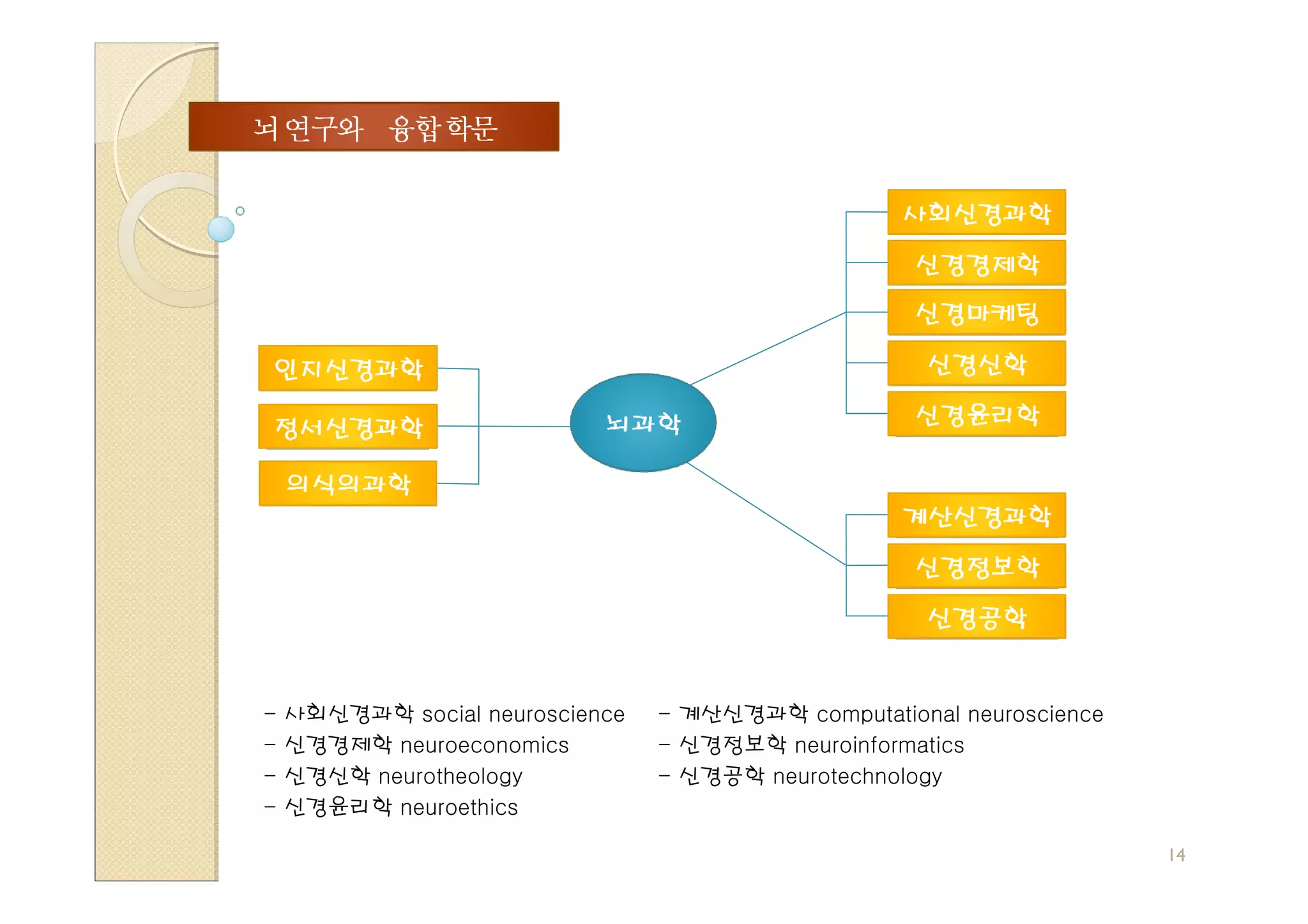 -   사회신경과학 social neuroscience   - 계산신경과학 computational neuroscience
-   신경경제학 neuroeconomics         - 신경정보학 neuroinformatics
-   신경신학 neurotheology           - 신경공학 neurotechnology
-   신경윤리학 neuroethics

                                                                       14
 
