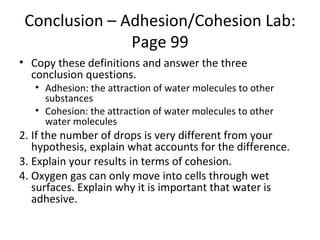 Conclusion – Adhesion/Cohesion Lab: Page 99 ,[object Object],[object Object],[object Object],[object Object],[object Object],[object Object]