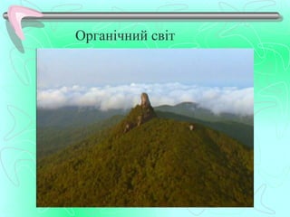 Органічний світ
 
