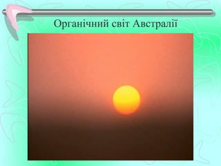 Органічний світ Австралії
 