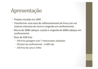 Apresentação	
  
•  Projeto	
  iniciado	
  em	
  1995	
  
•  Transformar	
  uma	
  área	
  de	
  reﬂorestamento	
  de	
  Pinus	
  em	
  um	
  
   sistema	
  intensivo	
  de	
  recria	
  e	
  engorda	
  em	
  conﬁnamento.	
  
•  Recria	
  de	
  3000	
  cabeças	
  a	
  pasto	
  e	
  engorda	
  de	
  6000	
  cabeças	
  em	
  
   conﬁnamento	
  
•  Área	
  de	
  928	
  hcta	
  
   •  550	
  hcta	
  pastagem	
  com	
  7	
  rotacionados	
  adubados	
  
   •  50	
  baias	
  de	
  conﬁnamento	
  –	
  6.000	
  cab.	
  
   •  230	
  hcta	
  de	
  cana	
  e	
  milho	
  
 