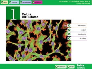 BIOLOGIA ETA GEOLOGIA DBH 4. MAILA
Célula.Bizi-uitatea
HASI ESKEMA BALIABIDEAK INTERNET
IRTENAURREKOA
IRAKURGAIA
ESKEMA
BALIABIDEAK
INTERNET
Célula.
Bizi-uitatea
 