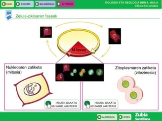 BIOLOGIA ETA GEOLOGIA DBH 4. MAILA
Célula.Bizi-uitatea
HASI ESKEMA BALIABIDEAK INTERNET
IRTENAURREKOA
Zelula-zikloaren faseak
M fasea
Nukleoaren zatiketa
(mitosia)
HEMEN SAKATU
GEHIAGO JAKITEKO
HEMEN SAKATU
GEHIAGO JAKITEKO
Zitoplasmaren zatiketa
(zitozinesia)
 