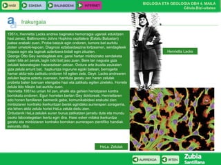 BIOLOGIA ETA GEOLOGIA DBH 4. MAILA
Célula.Bizi-uitatea
HASI ESKEMA BALIABIDEAK INTERNET
IRTENAURREKOA
Irakurgaia
1951n, Henrietta Lacks andrea baginako hemorragia ugariak edukitzen
hasi zenez, Baltimoreko Johns Hopkins ospitalera (Estatu Batuetan)
joatea erabaki zuen. Proba batzuk egin ondoren, tumore bat aurkitu
zioten umetoki-lepoan. Diagnosi eztabaidaezina lortzearren, sendagileek
biopsia egin eta laginak aztertzera bidali egin zituzten.
George Otto Gey sendagileak ere, garai hartan minbizirako sendaketa
baten bila ari zenak, lagin txiki bat jaso zuen. Bere lan nagusia giza
zelulak laborategian hazaraztean zetzan. Ordura arte ikusita zeukaten
giza zelula arrunt bat, hazkuntza ingurune egoki batean, berrogeita
hamar aldiz-edo zatikatu ondoren hil egiten zela. Geyk Lacks andrearen
zelulen lagina aztertu zuenean, harrituta geratu zen haren zelulak
probeta baten barruan etengabe hazi eta zatikatu egiten zirelako. Horrela
zelula ildo hilezin bat aurkitu zuen.
Henrietta 1951ko urrian hil zen, ahalik eta gehien heriotzaren kontra
borrokatu ondoren. Egun horretan bertan Gey doktoreak, Henriettaren
edo honen familiaren baimenik gabe, komunikabideei erakutsi zien
minbiziaren kontrako ikerkuntzan berak egindako aurrerapen zoragarria,
eta lehen aldiz zelula horiei HeLa zelula deitu zien.
Ordudanik HeLa zelulek euren burua zatikatzen jarraitu dute eta mundu
osoko laborategietan ikertu egin dira. Haiei esker milaka ikerkuntza
garatu eta minbiziaren kontrako borrokan aurrerapen zientifiko handiak
eskuratu dira.
Henrietta Lacks
HeLa. Zelulak
 