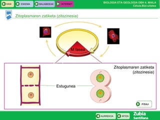 BIOLOGIA ETA GEOLOGIA DBH 4. MAILA
Célula.Bizi-uitatea
HASI ESKEMA BALIABIDEAK INTERNET
IRTENAURREKOA
Zitoplasmaren zatiketa (zitozinesia)
M fasea
Zitoplasmaren zatiketa
(zitozinesia)
Estugunea
ITZULI
 