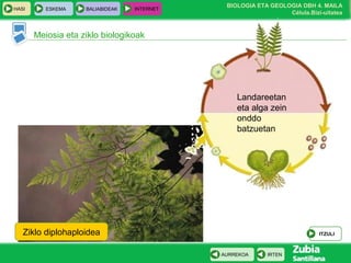 BIOLOGIA ETA GEOLOGIA DBH 4. MAILA
Célula.Bizi-uitatea
HASI ESKEMA BALIABIDEAK INTERNET
IRTENAURREKOA
Meiosia eta ziklo biologikoak
Ziklo diplohaploidea ITZULI
Landareetan
eta alga zein
onddo
batzuetan
 