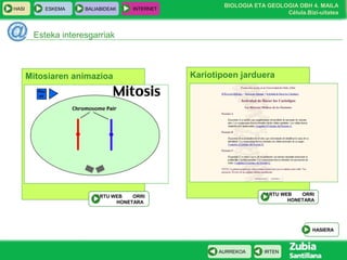 BIOLOGIA ETA GEOLOGIA DBH 4. MAILA
Célula.Bizi-uitatea
HASI ESKEMA BALIABIDEAK INTERNET
IRTENAURREKOA
Esteka interesgarriak
Mitosiaren animazioa
SARTU WEB ORRI
HONETARA
HASIERA
Kariotipoen jarduera
SARTU WEB ORRI
HONETARA
 
