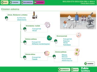 BIOLOGIA ETA GEOLOGIA DBH 4. MAILA
Célula.Bizi-uitatea
HASI ESKEMA BALIABIDEAK INTERNET
IRTENAURREKOA
Edukien eskema
Zelula. Bizitzaren unitatea
Aurkikuntza
Zelula-teoria
Antolaketa- mailak
Ezaugarriak
Motak
Zelula-nukleoa
Ezaugarriak
ADNaren kondentsazioa
Kromosomak
Ezaugarriak
Kopurua
Motak
Kariotipoa
Zelula-zikloa
Ezaugarriak
Faseak
Zelula-zatiketa
Mitosia
Meiosia
Konparaketa
Aldakortasuna
HASIERA
 