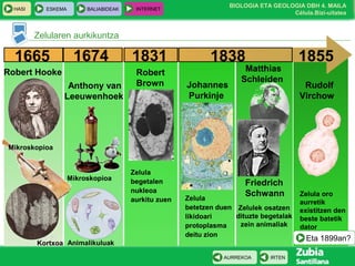 BIOLOGIA ETA GEOLOGIA DBH 4. MAILA
Célula.Bizi-uitatea
HASI ESKEMA BALIABIDEAK INTERNET
IRTENAURREKOA
Zelularen aurkikuntza
1665
Robert Hooke
Mikroskopioa
Kortxoa
1674
Anthony van
Leeuwenhoek
Mikroskopioa
Animalikuluak
1831
Robert
Brown
Zelula
begetalen
nukleoa
aurkitu zuen
1838
Johannes
Purkinje
Zelula
betetzen duen
likidoari
protoplasma
deitu zion
Zelulek osatzen
dituzte begetalak
zein animaliak
Matthias
Schleiden
Friedrich
Schwann
1855
Rudolf
Virchow
Zelula oro
aurretik
existitzen den
beste batetik
dator
Eta 1899an?
 