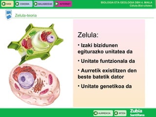 BIOLOGIA ETA GEOLOGIA DBH 4. MAILA
Célula.Bizi-uitatea
HASI ESKEMA BALIABIDEAK INTERNET
IRTENAURREKOA
Zelula-teoria
Zelula:
• Izaki bizidunen
egiturazko unitatea da
• Unitate funtzionala da
• Aurretik existitzen den
beste batetik dator
• Unitate genetikoa da
 