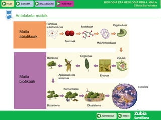 BIOLOGIA ETA GEOLOGIA DBH 4. MAILA
Célula.Bizi-uitatea
HASI ESKEMA BALIABIDEAK INTERNET
IRTENAURREKOA
Antolaketa-mailak
Maila
abiotikoak
Maila
biotikoak
Partikula
subatomikoak
Atomoak
Molekulak
Makromolekulak
Organuluak
Zelulak
Ehunak
Organoak
Aparatuak eta
sistemak
Banakoa
Biztanleria
Komunitatea
Ekosistema
Ekosfera
 