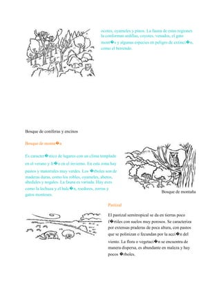 Bosque de coníferas y encinos
ocotes, oyameles y pinos. La fauna de estas regiones
la conforman ardillas, coyotes, venados, el gato
mont�s y algunas especies en peligro de extinci�n,
como el berrendo.
Bosque de monta�a
Es caracter�stico de lugares con un clima templado
en el verano y fr�o en el invierno. En esta zona hay
pastos y matorrales muy verdes. Los �rboles son de
maderas duras, como los robles, oyameles, abetos,
abedules y nogales. La fauna es variada. Hay aves
como la lechuza y el halc�n, roedores, zorras y
gatos monteses.
Bosque de montaña
Pastizal
El pastizal semitropical se da en tierras poco
f�rtiles con suelos muy porosos. Se caracteriza
por extensas praderas de poca altura, con pastos
que se polinizan o fecundan por la acci�n del
viento. La flora o vegetaci�n se encuentra de
manera dispersa, es abundante en maleza y hay
pocos �rboles.
 